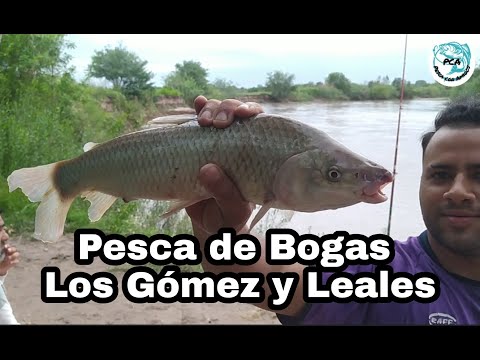 #Pesca de Bogas en Los Gomez y Leales - Tucuman-Argentina//Bogas Fishing// (Fishing with friends)