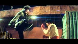 Donnie Yen and Wu Jing fights HD [甄子丹和吴京打斗]
