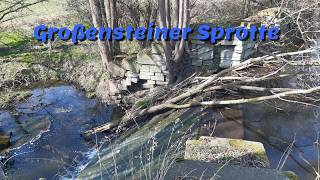 Großensteiner Sprotte