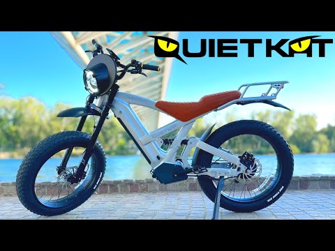 Ride In Style New Quiet Kat Lynx Review!!