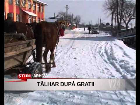 talhar dupa gratii   www v24tv