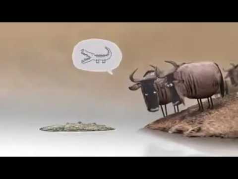 Lasst euch nicht täuschen und nehmt das Video als Beispiel für unsere Gesellschaft