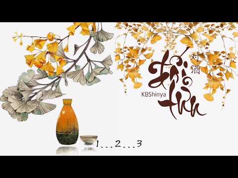 [ KARAOKE ] Đối Tửu - KBShinya | 对酒 - KBShinya