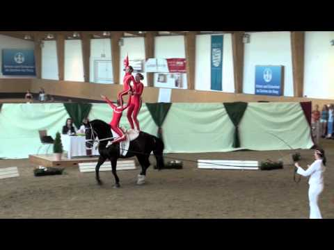 Bayerische Meisterschaften 2011 - Büchenbach I.mov