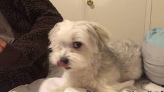 The Odin Hour - "Talk to me!"