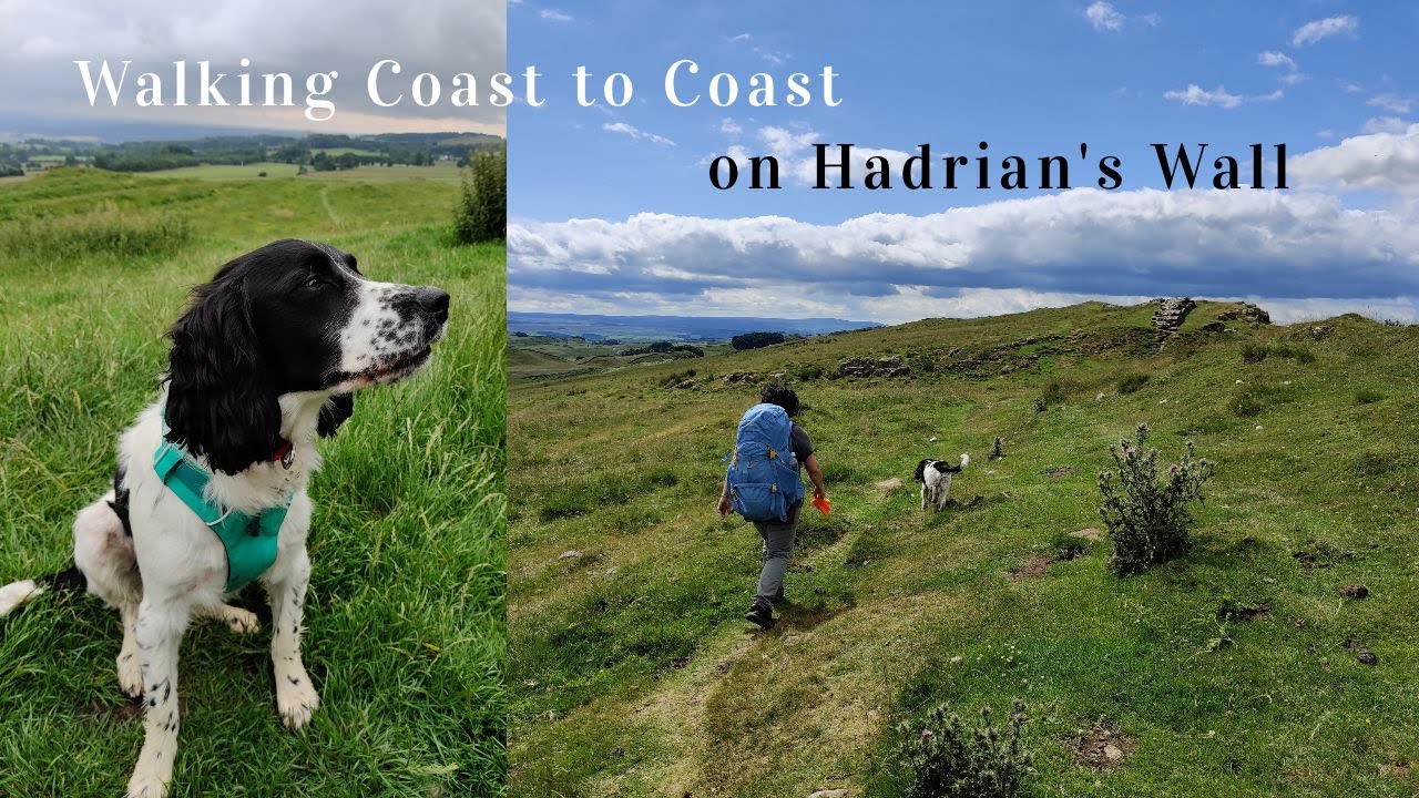 My Guide to Walking the Hadrian's Wall Path (with my Dog)