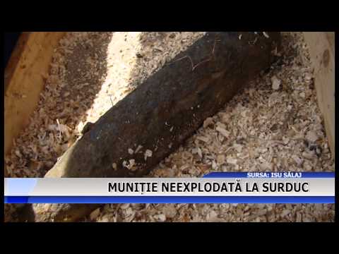 Munitie neexplodata la Surduc
