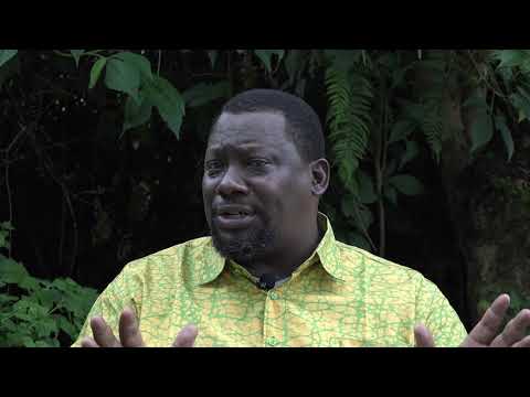 Primate Expertise s’investit dans la recherche et la conservation des Gorilles de Grauer au PNKB