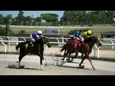 211203 c02 - FORTINERO - HIPODROMO LAS PIEDRAS