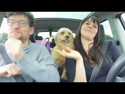 Spare Rides - Carpooling App Video