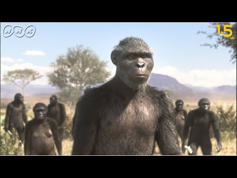 , title : '[人類誕生CG] 370万年前の人類は虫を食べていた！ | NHKスペシャル | NHK'