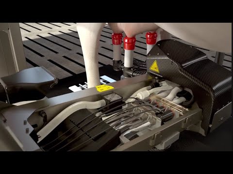 Lely Astronaut A5 - Die Kunst des Melkens