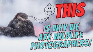 THIS Is Why We Are Wildlife Photographers!