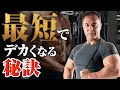 【筋トレ】筋トレ初心者が絶対にやるべき！筋肉を最短で大きくしていく5つのポイント【初心者】