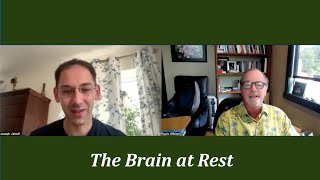 The Brain At Rest with Joseph Jebelli on Pathways | Paul O'Brien
