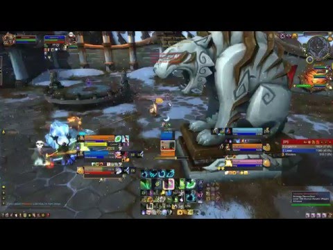 Turbo Cleave vs Frozen Chicken resto Druid PoV 6.2.4 3v3s