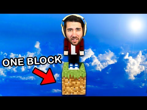 I Beat Minecraft Using One Block