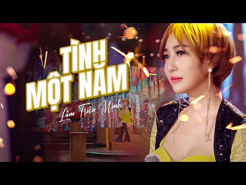 Tình một năm - Lâm Triệu Minh