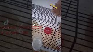 המשודך המתוסבך - תנסה רק פגישה אחת (המשודך המתוסבך) - התמונה מוצגת ישירות מתוך אתר האינטרנט יוטיוב. זכויות היוצרים בתמונה שייכות ליוצרה. קישור קרדיט למקור התוכן נמצא בתוך דף הסרטון