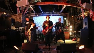 Crushed at Shady Park in Tempe, AZ, December, 2016