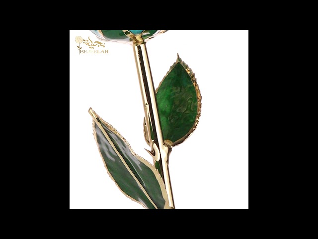 اجمل انواع الورد