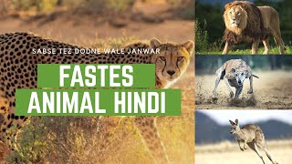 दुनिया के 10 सबसे तेज दौड़ने वाले जानवर | 10 Fastest Animals in the World