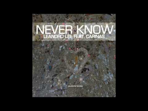 Leandro Lee feat. carinas - never know