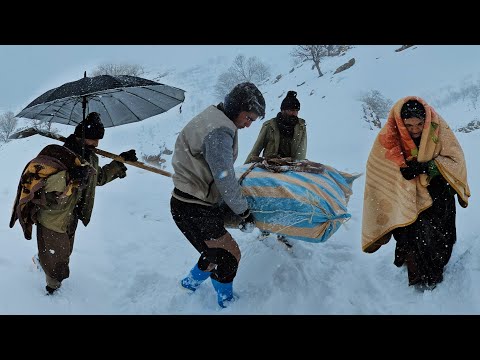 🌬️❄️"Trapped in a Blizzard: Amir's Family Faces a Snowy Challenge on the Farm!"