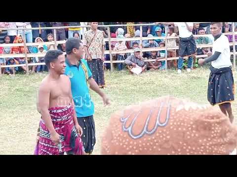 Tinju adat Nataia boanio full petinju muda 2023