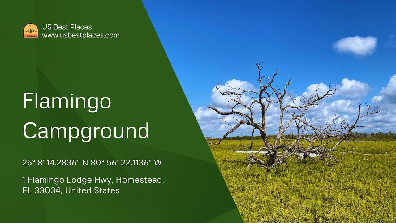 Flamingo Campground Everglades Guide: Camping, Hiking, Wildlife & Outdoor Adventures
