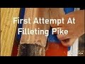 Video Thumbnail for First Attempt At Filleting Pike