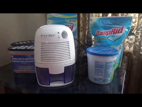 download lagu mp3 mp4 Fight Humidity In Home, download lagu Fight Humidity In Home gratis, unduh video klip Fight Humidity In Home
