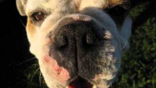 K-OS - Ballad of Noah/Chocolate Chewing Gum