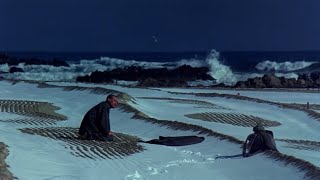 Mandala / 만다라 (1981) Trailer