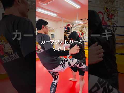 [キックボクシング　トレーニング　格闘技] カーフヴァレリーキック！！　#キックボクシング #トレーニング #格闘技