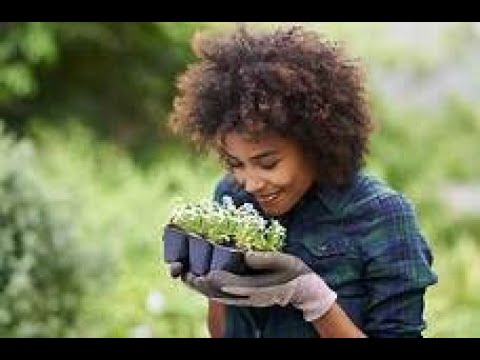 LTTL Management Services video.