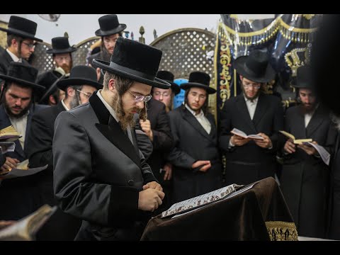 האדמו''ר מסאדיגורה במירון | Sadigura Rebbe in Meron