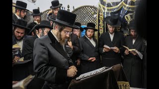 האדמו''ר מסאדיגורה במירון | Sadigura Rebbe in Meron