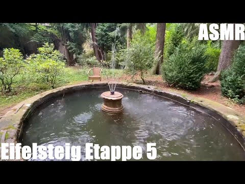 Eifelsteig Etappe 5 - Natur pur - Fernwanderweg in der Eifel - long-distance hiking trail - ASMR