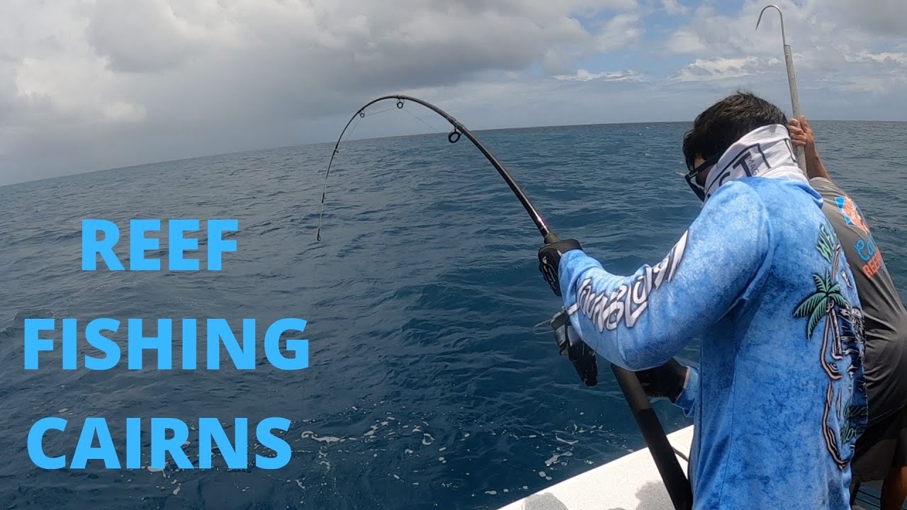 Venture into tropical waters to chase marlin, tuna, and reef species with expert crews.