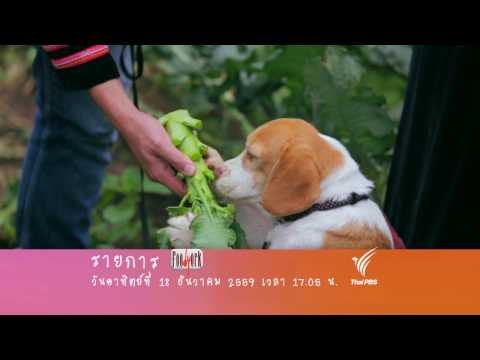 ศูนย์พัฒนาโครงการหลวงแม่ปูนหลวง