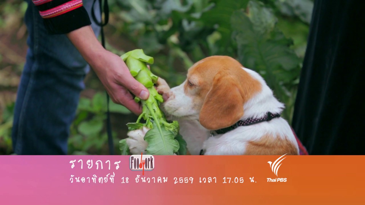 Mae Poon Luang Royal Project Development Center