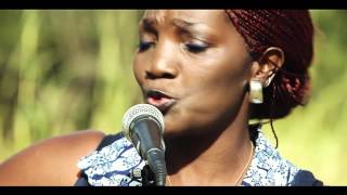 Our Zambia Our Wildlife - EleFest 2016