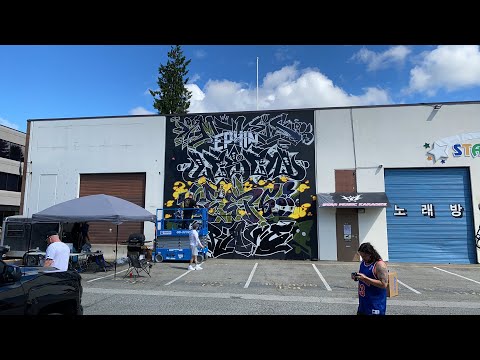 Part Deux! SDK LIVE - Graffiti Video