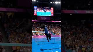 Black Lab Nails Perfect Reverse Pike Dive at Animal Olympics! #DivingDogs #OlympicAnimals #Labrador