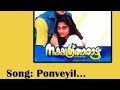 Ponveyiloothi From Nakshatratharattu By Jini Joseph And Sachin Pls Listen Using Headphones