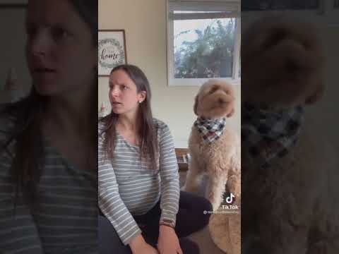 Call Your Dog When They are Right Besides you Challenge