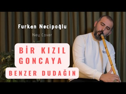 Furkan Necipoğlu - BİR KIZIL GONCAYA BENZER   #enstrümantalmüzik