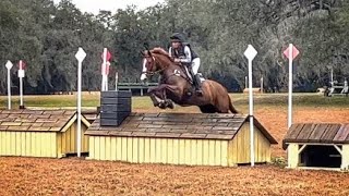 Sharp Decision (Intermediate • 2022 Rocking Horse Winter I)