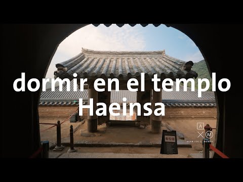 Dormir en un Templo en Corea del Sur 4K | Alan por el mundo Corea del Sur #4